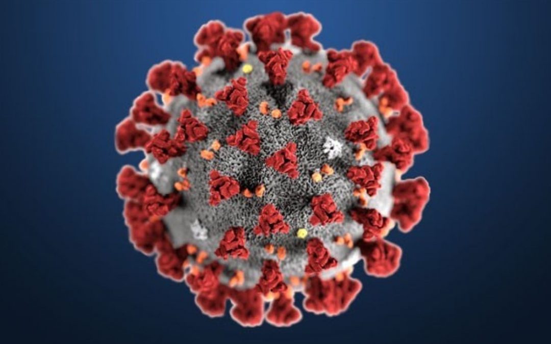 Evitar el contagio de Coronavirus (Covid-19)